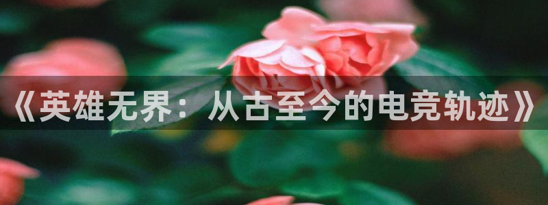乐鱼电竞网站：《英雄无界：从古至今的电竞轨迹》