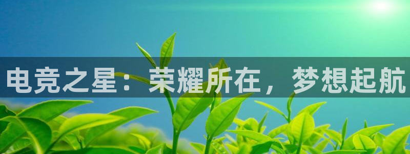 乐鱼电竞app下载：电竞之星：荣耀所在，梦想起航