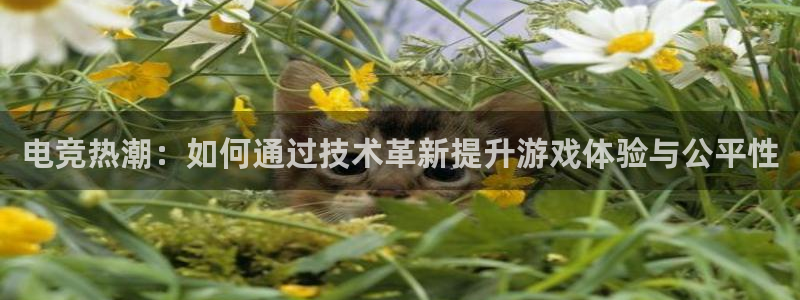 乐鱼电竞官网：电竞热潮：如何通过技术革新提升游戏体验与公平性