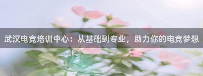乐鱼电竞app下载：武汉电竞培训中心：从基础到专业，助力你的电竞梦想