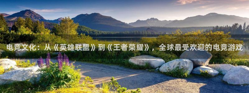 乐鱼电竞网站：电竞文化：从《英雄联盟》到《王者荣耀》，全球最受欢迎的电竞游戏