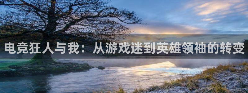 乐鱼电竞网站：电竞狂人与我：从游戏迷到英雄领袖的转变