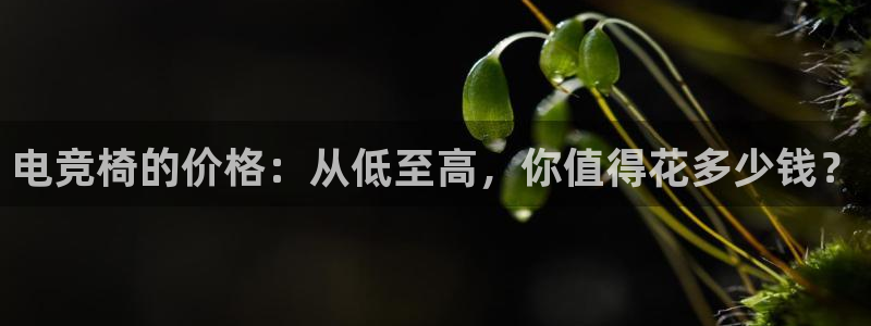 乐鱼电竞app下载：电竞椅的价格：从低至高，你值得花多少钱？