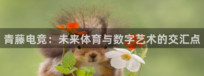乐鱼电竞：青藤电竞：未来体育与数字艺术的交汇点