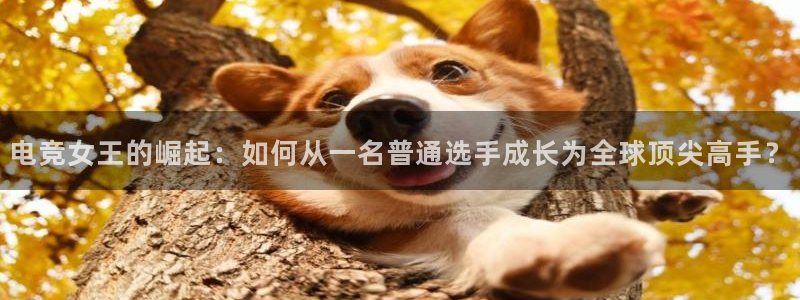 乐鱼电竞：电竞女王的崛起：如何从一名普通选手成长为全球顶尖高手？