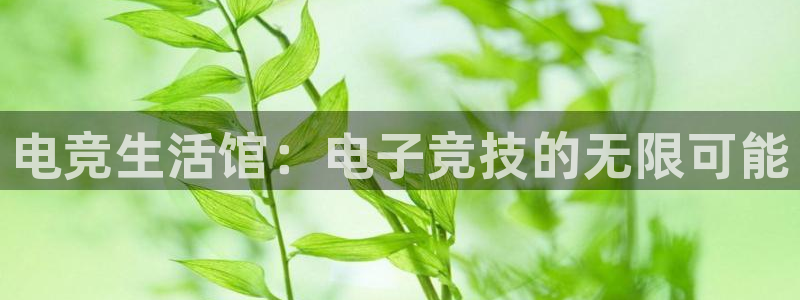 乐鱼电竞下载：电竞生活馆：电子竞技的无限可能