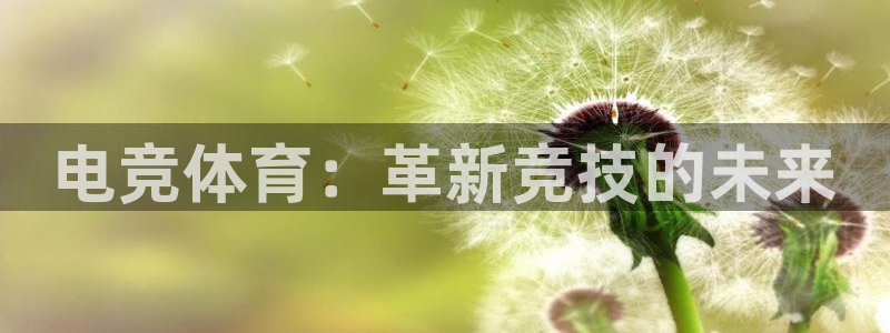 乐鱼电竞英雄联盟app官方：电竞体育：革新竞技的未来