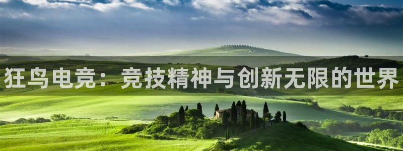 乐鱼电竞app：狂鸟电竞：竞技精神与创新无限的世界