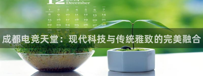 乐鱼电竞app下载：成都电竞天堂：现代科技与传统雅致的完美融合