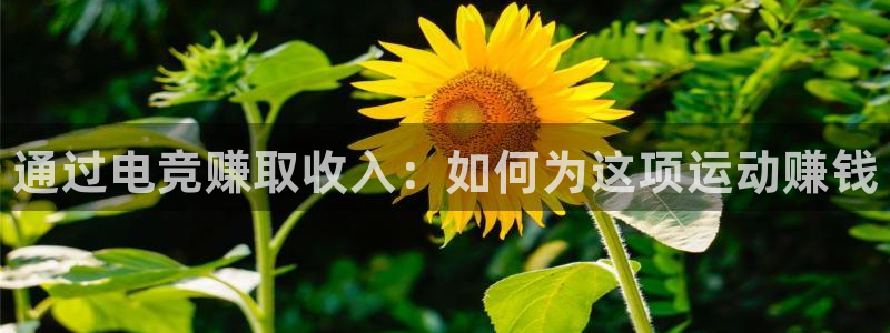 乐鱼电竞官网：通过电竞赚取收入：如何为这项运动赚钱