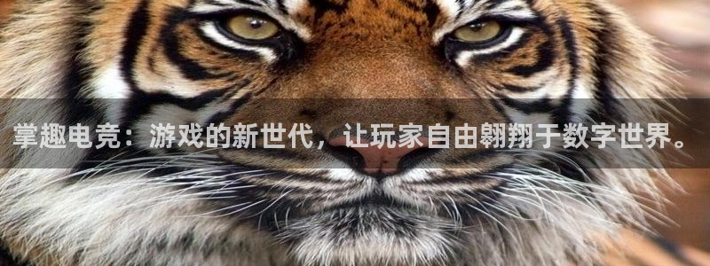 乐鱼电竞网站：掌趣电竞：游戏的新世代，让玩家自由翱翔于数字世界。