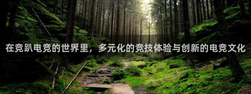 乐鱼电竞app下载：在竞趴电竞的世界里，多元化的竞技体验与创新的电竞文化