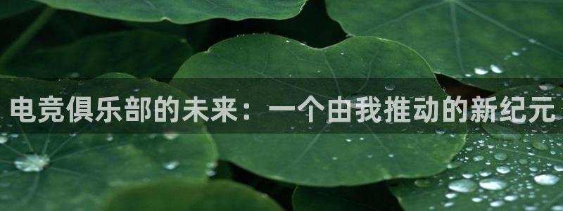 乐鱼电竞下载