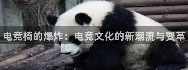 乐鱼电竞app下载：电竞椅的爆炸：电竞文化的新潮流与变革