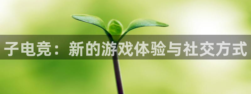 乐鱼电竞官网：子电竞：新的游戏体验与社交方式