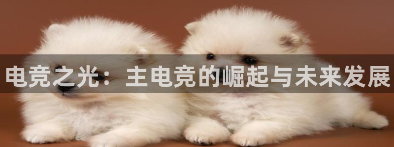 乐鱼电竞平台：电竞之光：主电竞的崛起与未来发展