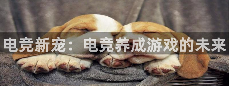 乐鱼电竞网站