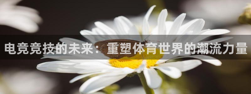 乐鱼电竞网站：电竞竞技的未来：重塑体育世界的潮流力量