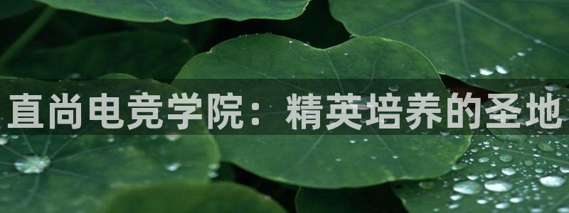 乐鱼电竞网站：直尚电竞学院：精英培养的圣地
