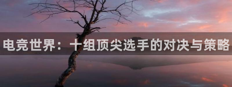 乐鱼电竞官网：电竞世界：十组顶尖选手的对决与策略