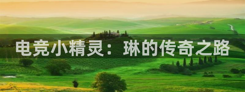乐鱼电竞英雄联盟app官方：电竞小精灵：琳的传奇之路