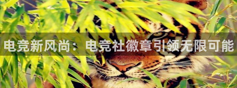 乐鱼电竞：电竞新风尚：电竞社徽章引领无限可能
